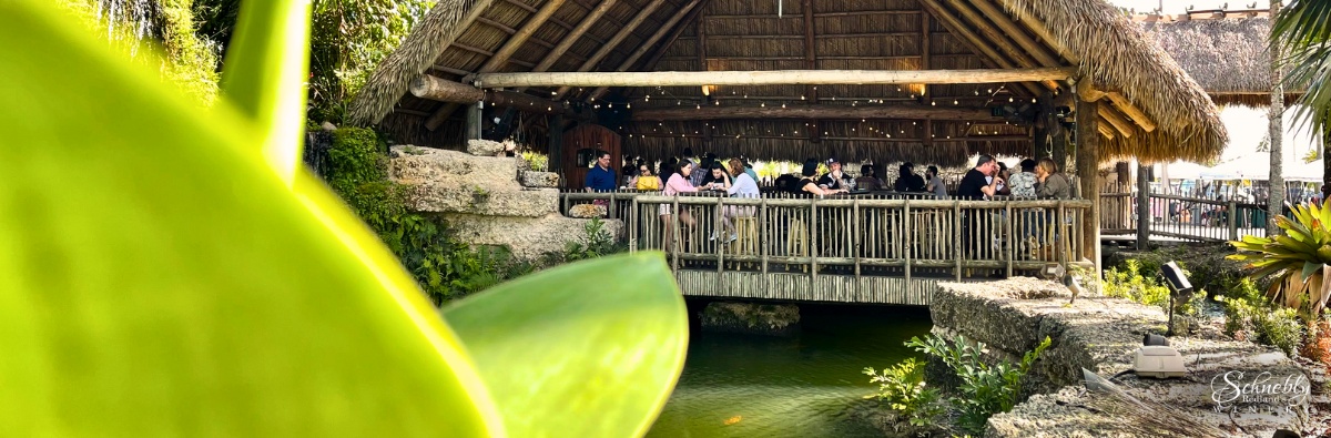 Tips for an Unforgettable Birthday at Schnebly