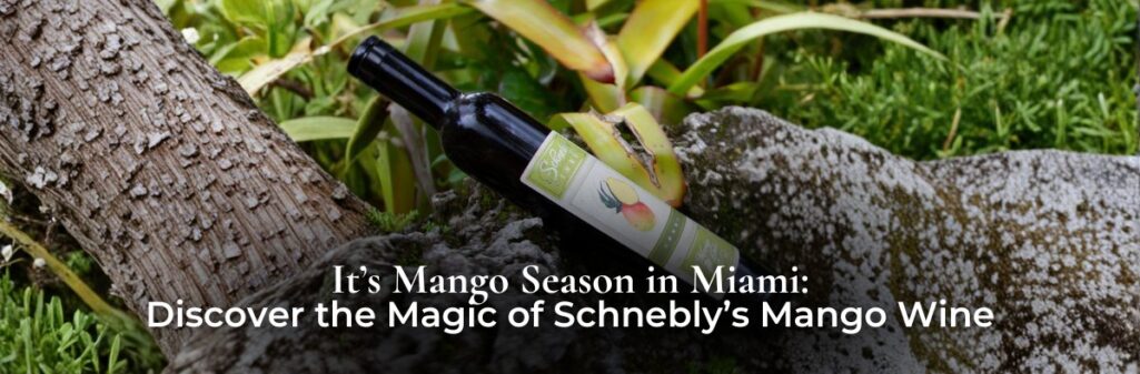 In Florida, fall doesn’t bring crisp air and falling leaves — it brings the golden glow of mango season. While the rest of the country sips on pumpkin spice, here in Miami, we celebrate with something even better: Mango Wine. At Schnebly Redland’s Winery in Homestead, mangoes aren’t just fruit — they’re a story of South Florida sunshine, local farming, and tropical craftsmanship turned into a one-of-a-kind wine experience. If you’ve never tasted tropical mango wine, this is the season to do it. A Tropical Twist on Fall Tradition Autumn in Florida feels a little different. Instead of sweater weather, we have long afternoons kissed by sunshine and breezy tropical evenings — the perfect setting for a chilled glass of Mango Wine. Made entirely from ripe Redland mangoes, this wine captures everything we love about Miami: warmth, sweetness, and tropical charm. Every sip delivers a burst of golden fruit balanced by just the right touch of acidity, creating a wine that’s as refreshing as it is elegant. Unlike traditional grape wines, Schnebly’s tropical wines are crafted from locally grown fruits, a reflection of South Florida’s agricultural roots. That’s what makes a visit to Schnebly Winery in Homestead, Florida feel so special — it’s a taste of our region in every glass. How Schnebly Turns Mangoes into Magic Schnebly Redland’s Winery is known as the southernmost winery in the United States, and it has perfected the art of tropical winemaking. Each bottle of Mango Wine begins with hand-picked fruit sourced from the Redlands — Miami’s historic farming region. The mangoes are pressed, fermented, and aged with care to preserve their natural flavor. The result? A wine that’s fresh, smooth, and unmistakably tropical. You’ll taste the real essence of Florida in every sip — the sweetness of the fruit, the richness of the soil, and the sunshine of the season. Meet the Mango Wines of Schnebly’s At Schnebly Redland’s Winery, mango season comes to life in two irresistible bottles that capture the essence of Florida’s sunshine. 🍷 Mango Wine A true crowd pleaser — smooth, balanced, and refreshingly tropical. This wine highlights the natural flavor of ripe Redland mangoes with a hint of sweetness and a subtle, crisp finish. It’s perfect for sipping on a warm afternoon, pairing with seafood, or sharing at a fall dinner party. 🍯 Mango Dolce For those who love something richer, Mango Dolce offers a dessert wine experience that’s both exotic and elegant. With its 14.5% alcohol content and luxurious texture, it strikes the perfect balance between sweetness and smoothness — a tropical way to complete any meal. Whether you prefer something light and fruity or rich and indulgent, these two mango wines show exactly why Schnebly is known as the home of Florida’s most tropical wines. You can find them both on our Wines page or try them at the winery during your next Miami wine tasting Perfect Pairings for the Season Mango Wine’s tropical sweetness makes it incredibly versatile when it comes to food pairings. Try it with: Spicy seafood dishes – like grilled shrimp tacos or spicy tuna rolls. Tropical-inspired desserts – mango sorbet, cheesecake, or key lime pie. Savory favorites – roasted chicken or Caribbean-style pork. And for holiday entertaining, Mango Wine pairs beautifully with Thanksgiving classics — think turkey glazed with mango chutney or a fresh mango salad alongside fall sides. A Florida Fall Experience at Schnebly A visit to Schnebly Redland’s Winery during mango season is an experience all its own. Walk through tropical gardens filled with palm trees and waterfalls, sip under tiki huts, and enjoy a Miami wine tasting unlike any other. You can even tour the winery to see firsthand how tropical wines are made — from fruit to bottle. Whether you’re planning a romantic afternoon, a weekend getaway, or simply want to stock up for the holidays, Schnebly offers an authentic South Florida winery experience. Why Mango Wine Belongs on Your Table If you’re looking for something different to serve this fall, Mango Wine is your tropical alternative to traditional reds and whites. It’s light enough for Miami’s weather but rich enough for fall flavors — and it brings a sense of sunshine and fun to any gathering. More than that, it’s a celebration of local flavor, made right here in Homestead, Florida, at the heart of Schnebly Redland’s Winery. Visit Schnebly and Celebrate Mango Season There’s no better time than October to experience mango season in Miami. Stop by for a tasting, explore our tropical fruit wines, and discover why Schnebly is considered one of the best Florida wineries for locals and visitors alike. Book your wine tour in Miami today or visit our online shop to order your favorite bottles. This fall, trade the pumpkin spice for paradise — and raise a glass to Mango Wine at Schnebly Redland’s Winery.