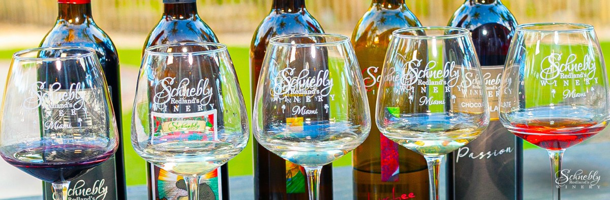 Gift Idea #4: Wine Tour + Tasting Combo