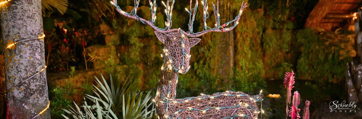 Why Experiences Make the Best Gifts