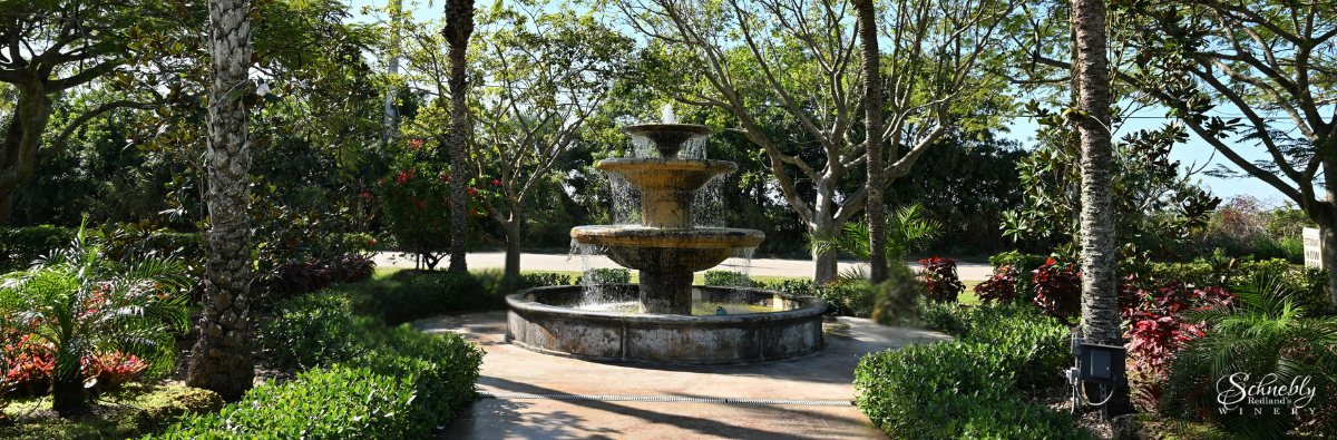 A New Year Worth Savoring
