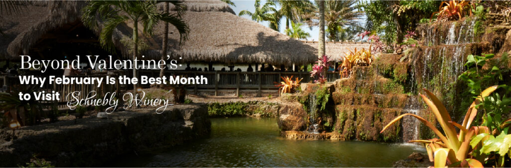 Beyond Valentine’s: Why February Is the Best Month to Visit Schnebly Winery