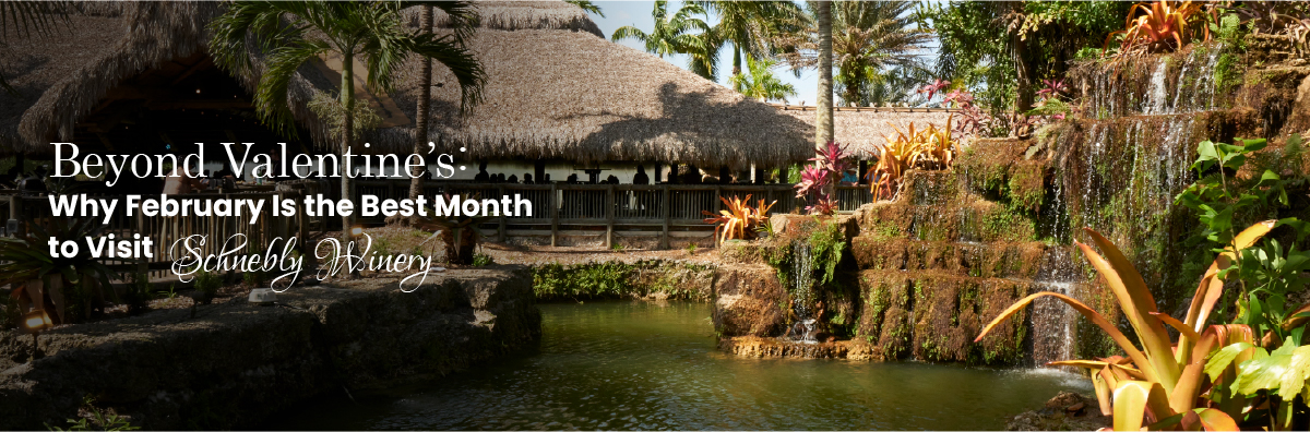 Beyond Valentine’s: Why February Is the Best Month to Visit Schnebly Winery