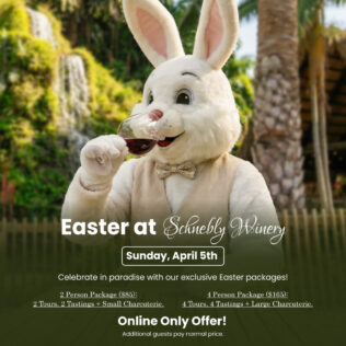 Easter at Schnebly Winery 🐰🍷