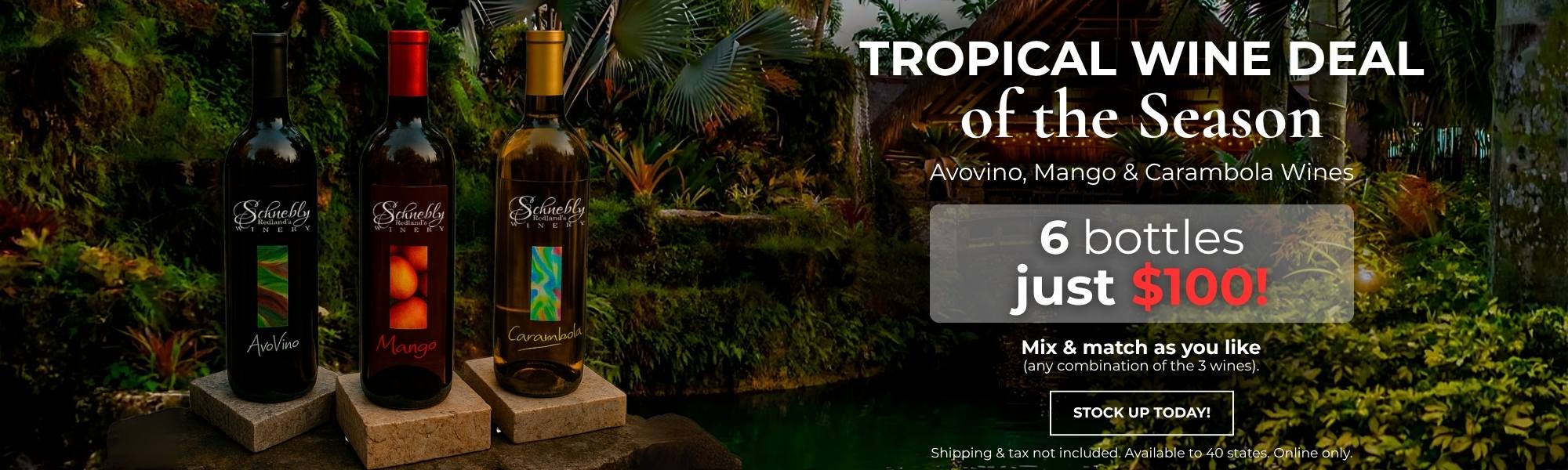 Promo 6 Bottles